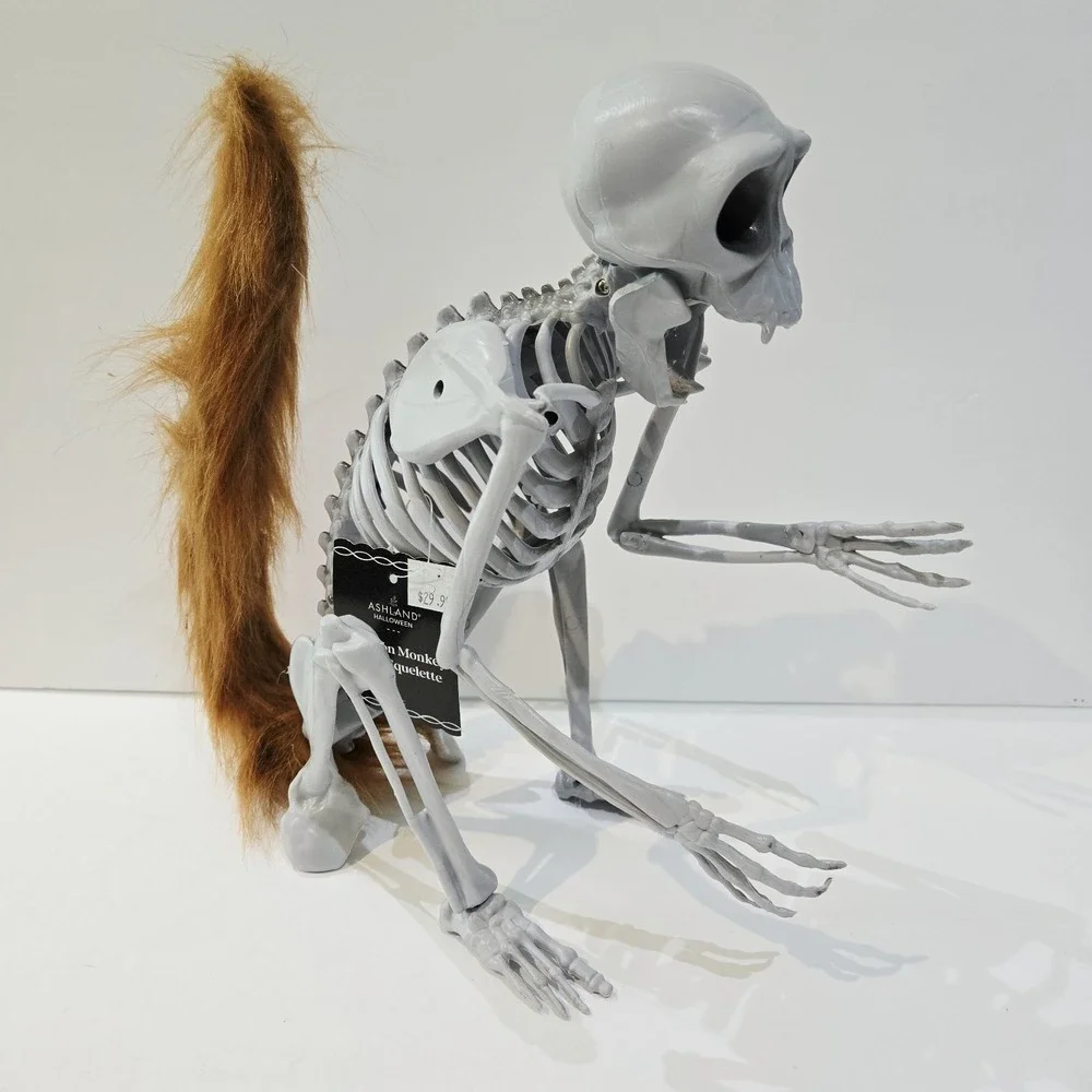 Ashland Halloween Monkey Skeleton Faux Fur Tail Decor Decoration NEW